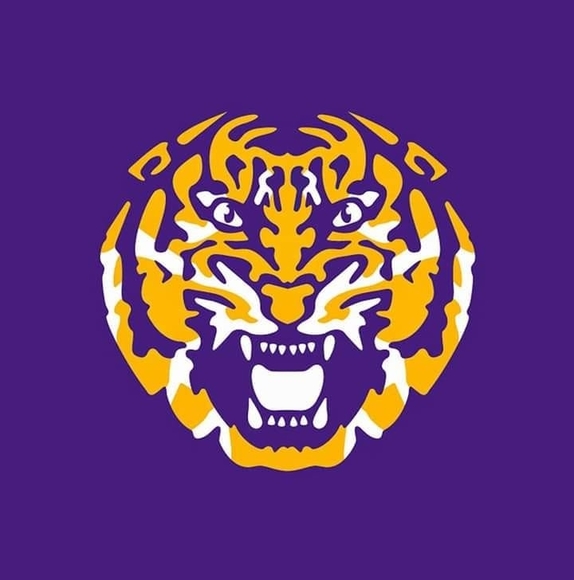 lsutigersboy